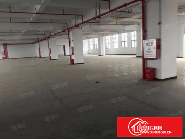 看中好谈大朗松柏朗7800平方超靓独院厂房15元可包租