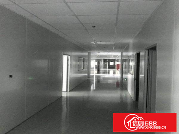 大朗莞樟路边无尘车间1200㎡出租