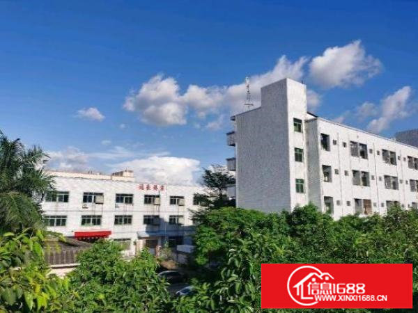 千年等一回！松岗大田洋！手快有手慢无！租到就赚到！