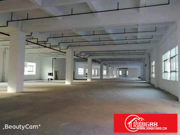 独门独院标准厂房，院内空地大，107国道边，高速路口旁