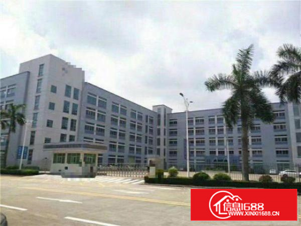 ?万江超大超靓标准工业园1000平方厂房出租2楼带电