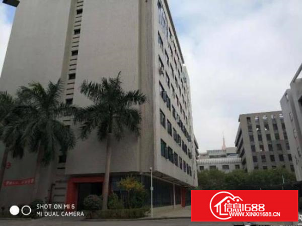 出租坪山新区坪山