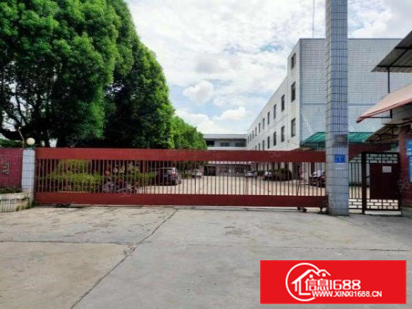 清溪大利楼上800平米带现成办公室装修