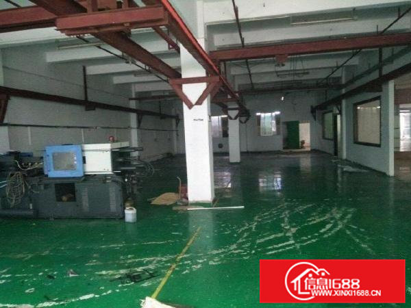 横沥镇隔坑附近标准厂房一楼1000平方