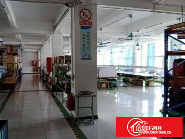 石井新出原房东带装修二楼700平厂房出租
