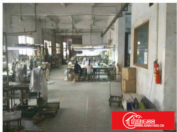 清溪清厦新出标准一楼1400平方厂房有装修