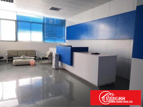 仲恺陈江独门独院4000平方厂房，空地大