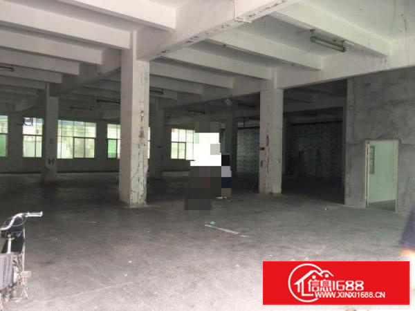 平湖白泥坑海吉星附近200;550平一楼出租