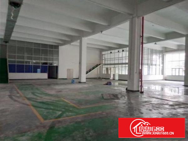 沙井共和原房东无公摊一楼1950平高六米红本厂房出租可分租