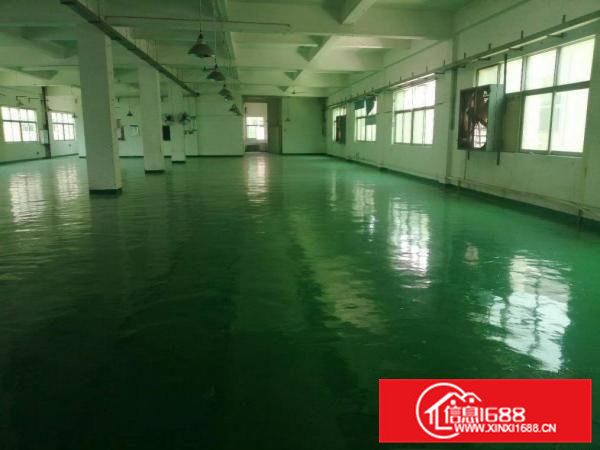 全新地坪漆厂房，只要12.8元