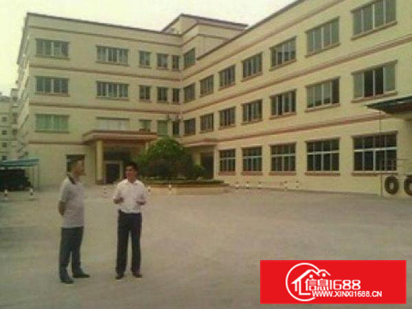 常平白石岗市场附近分租二三楼3650平米