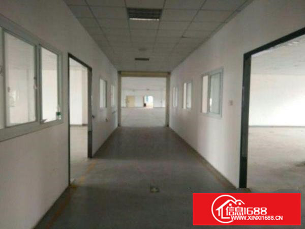 虎门龙眼新出独门独院厂房6000平方