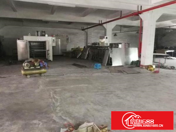 实力房东，业主！里水500;650;850;1千平方一楼厂房