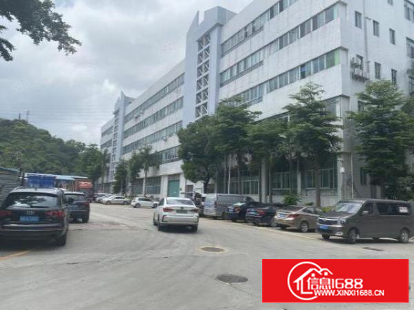 塘厦东深工业园2万平厂房出租精装修一楼仓房500平起分租