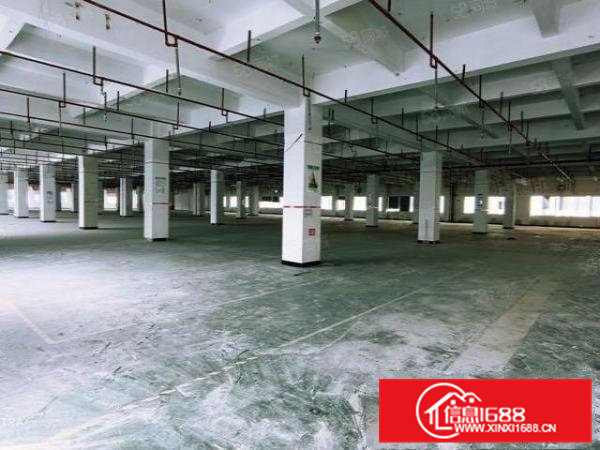 五联原房东3楼2000平方超靓漂亮实用.