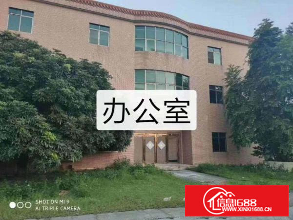 高埗新出原房东独门独院单一层厂房21000方