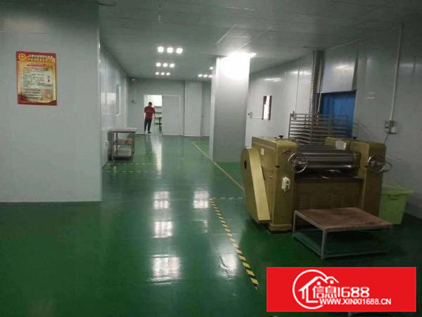 大岭山新出无尘车间随时拎包入住标准厂房1000平出租12元