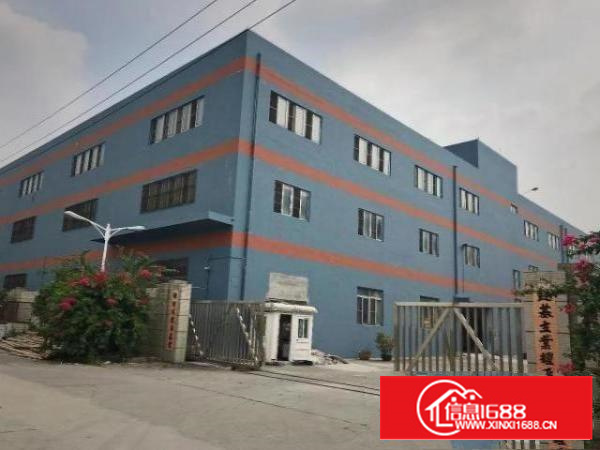 清溪浮岗独门独院三层标准厂房出租