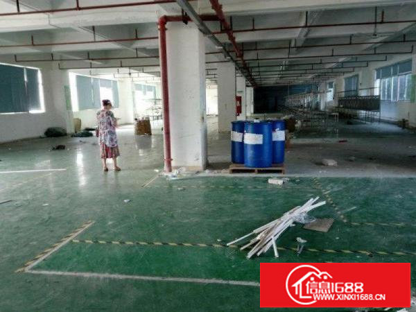 坪山各镇各工业区楼上小面积厂房出租