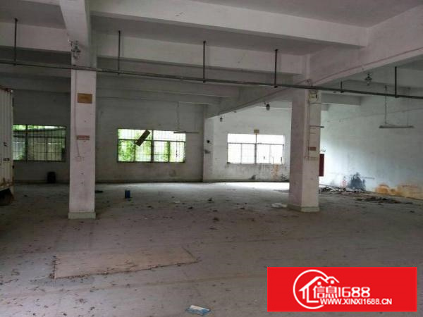 惠阳秋长1000平原房东我楼带装修厂房高6米空地大