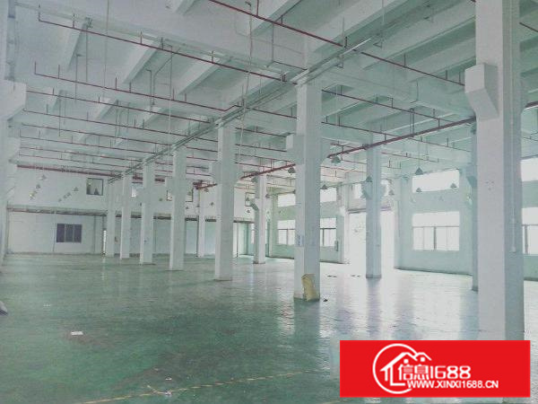 可办环评，配电大，容桂园区一楼1500方带吊机