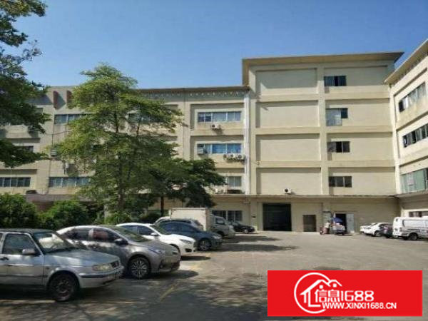 出租龙岗区横岗坳背2楼2500平空地超大.可带宿舍