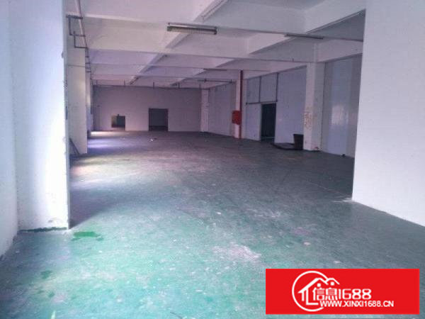 碧岭新出送精装修二楼1560平厂房出租（可分租）