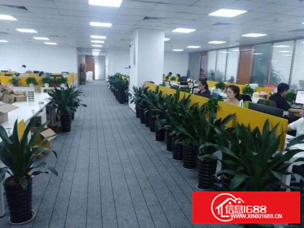 出租龙岗坂田杨美地铁口红本物业出租1000平