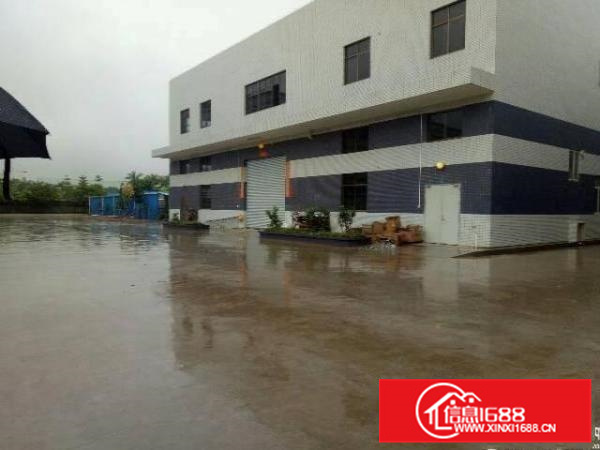 陈江新出3000平零公摊原房东厂房