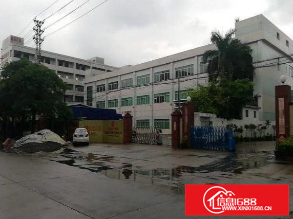 茶山独院厂房1200平方有水电装修形象漂亮