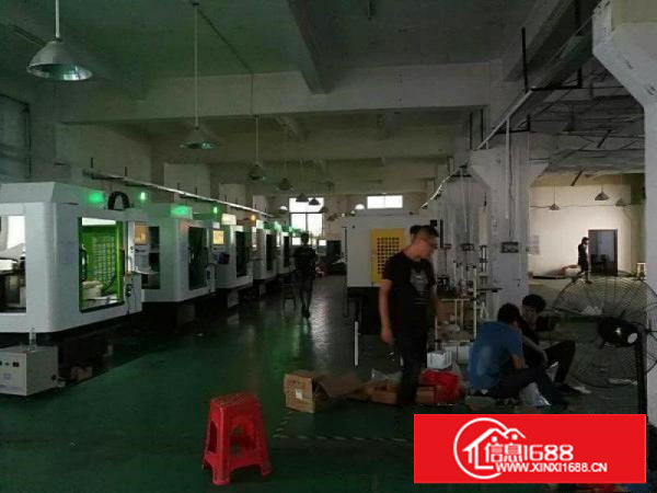 塘厦石马全新独门独院厂房一楼900平方高6米有牛角