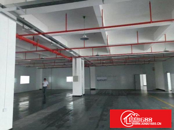 惠城区工业园厂房3000平分租全新地坪漆红本可办环评