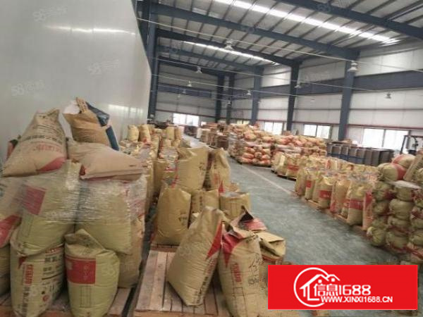 万江新出独门独院单一层10米高厂房招租