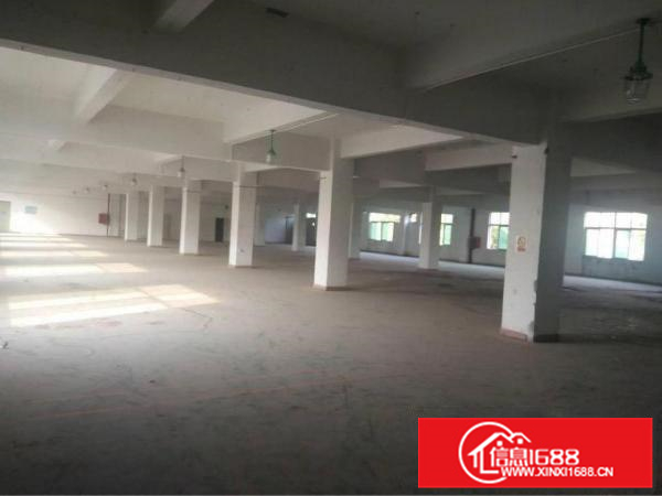 新墟3200平独院，可做喷油，家私行业