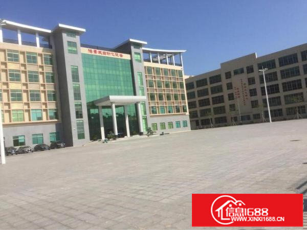 坪山全新红本高新产业园招租