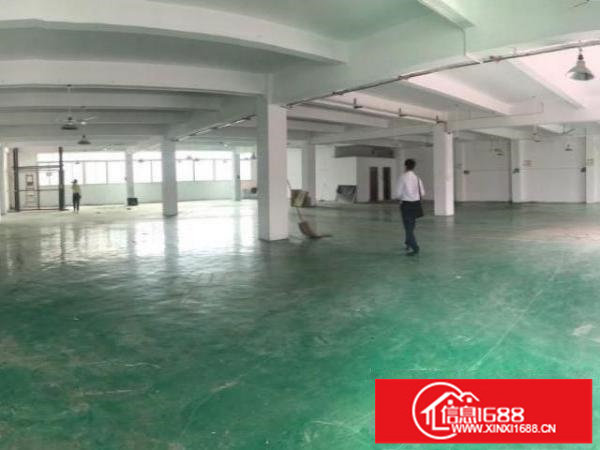 深圳观澜便宜厂房出租交通方便