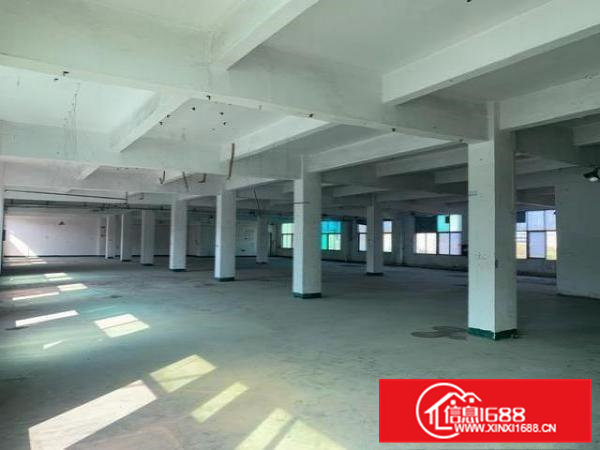 原房东直租、全新独院厂房