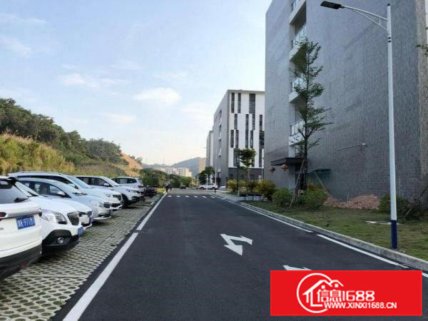 清溪花园式厂房出租无公摊