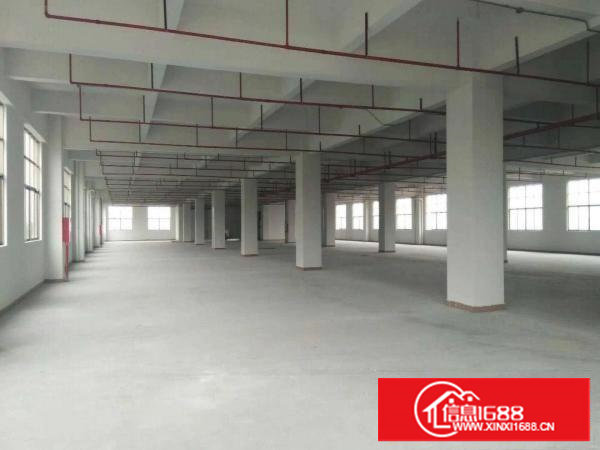 原房东新建无公摊九层单层800平厂房对外招租