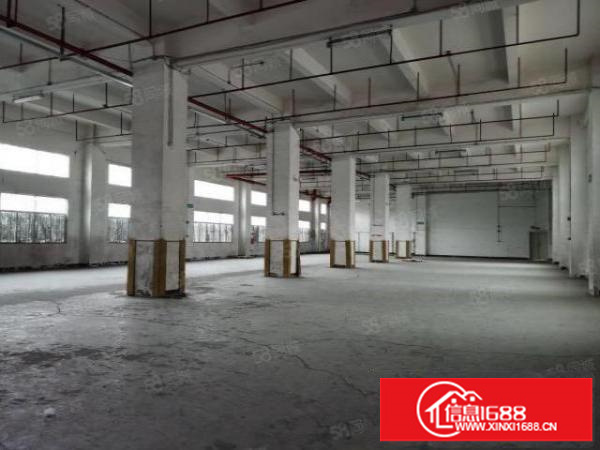 坂田南坑1225，4650平单一层钢构厂房