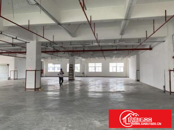 六约业主直租免中介100平200平300平包隔墙水电到户