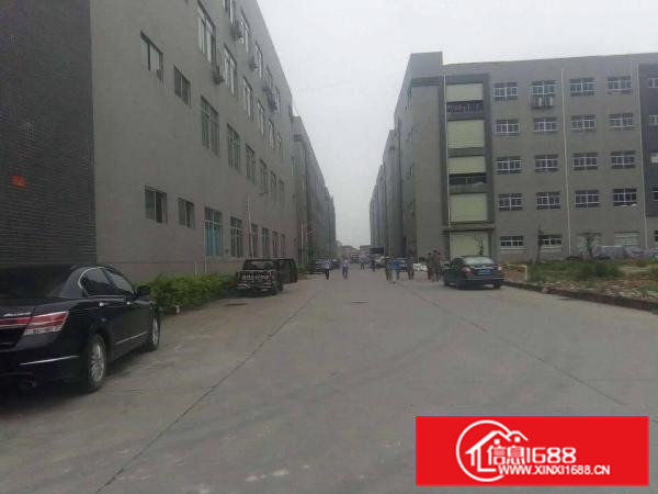 大岭山上档次的全新大型厂房出组