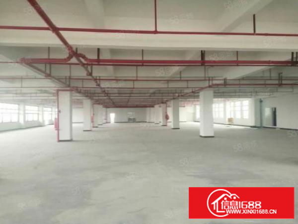 寮步石龙坑新出1000平工业用地厂房滴水8米拎包即可生产