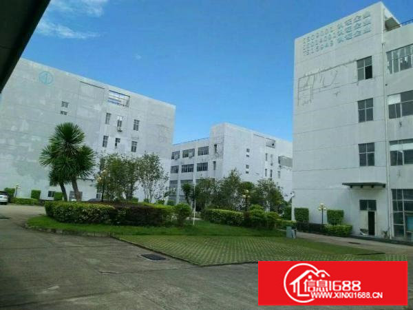 横岗工业园厂房办公室仓库招租，可分租