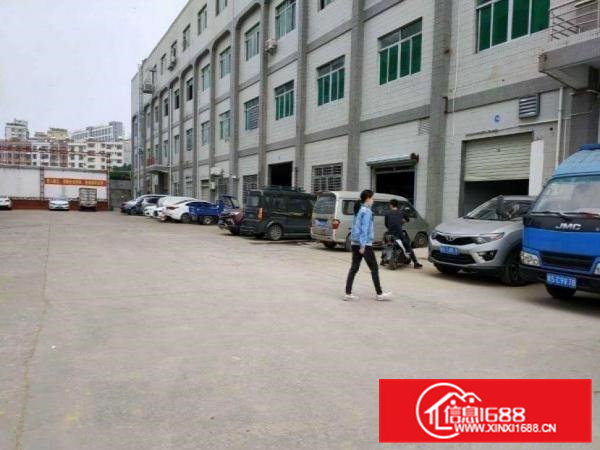 横沥村头独院一楼540平出租水电办公室齐全可办环评