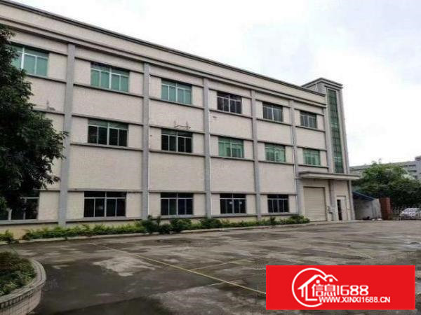 茶山镇原房东分租三楼900平方，实际面积无公摊