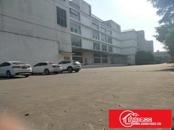 坪山大工业区新出楼上30000平带卸货平台可分租