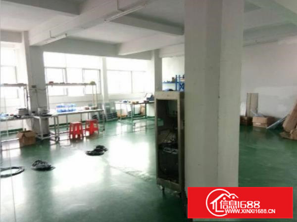 小面积厂房大岭山镇原房东出租二楼320平实际面积有办公室