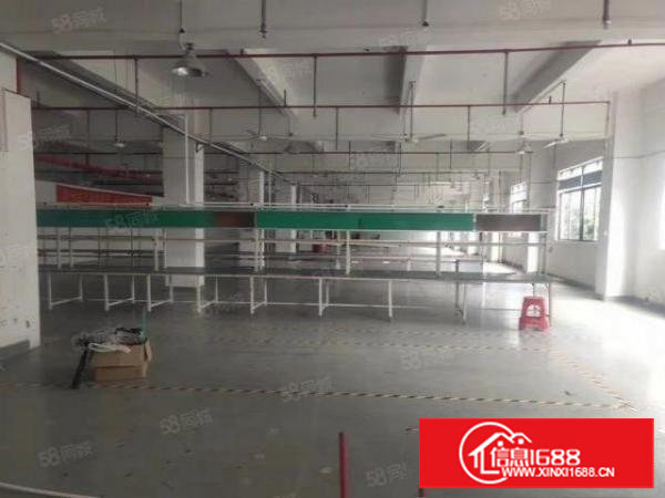 东莞塘厦镇新出原房东，独栋，每层实际面积1000平米，共5层