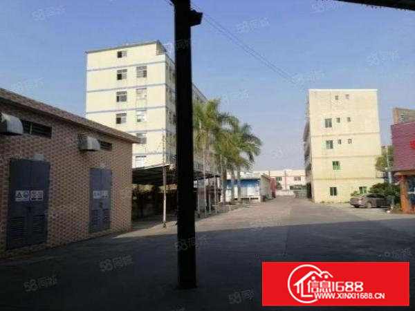 桥头新出独院国有证滴水9米钢结构单一层厂房10500平出租